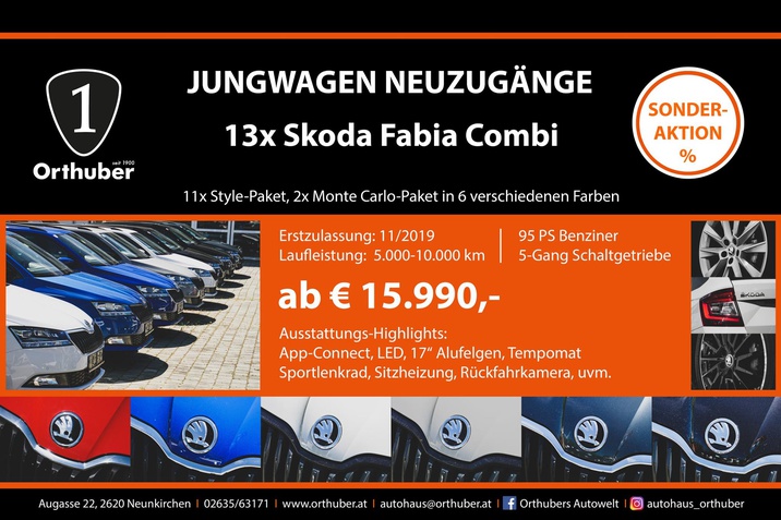Orthuber Skoda Fabia Aktion